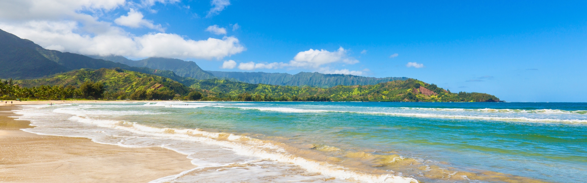 Beach and Bluff Realty