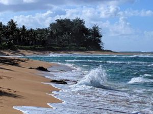 ocean waves on Kauai
